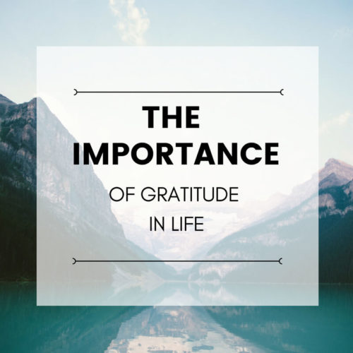 The Importance Of Gratitude In Life | Michael Atma